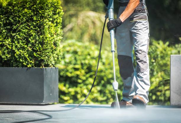 Best Solar Panel Cleaning  in Mante, CA